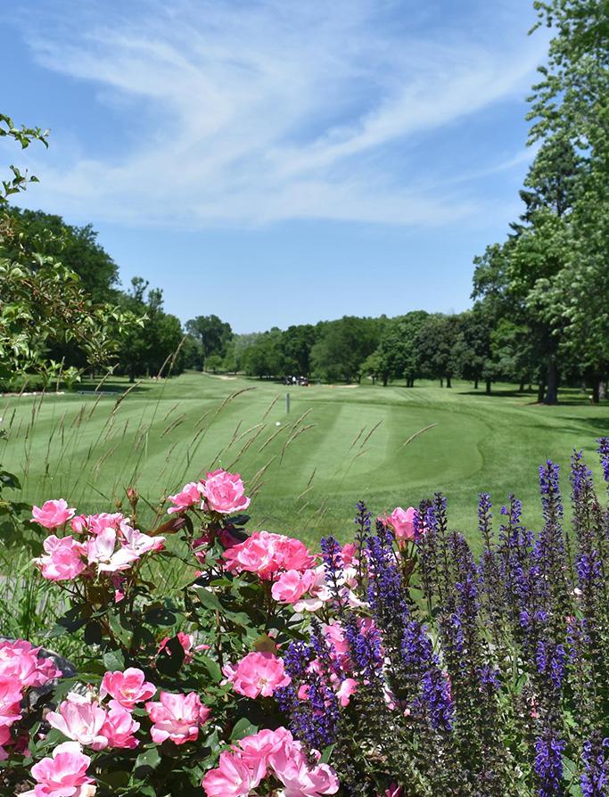 10th hole tee box at North Hills Country Club